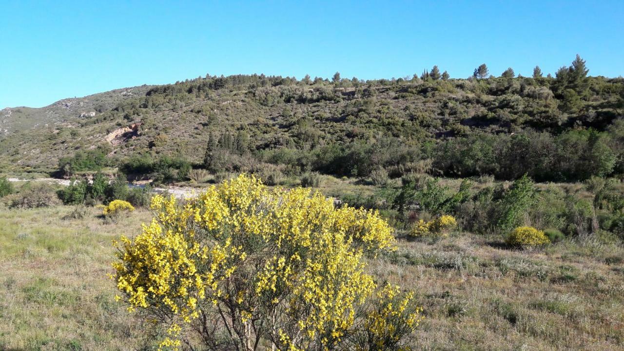 הוילה Durban-Corbieres La Grange מראה חיצוני תמונה